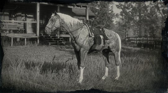 Red Dead Redemption 2 American Standardbred